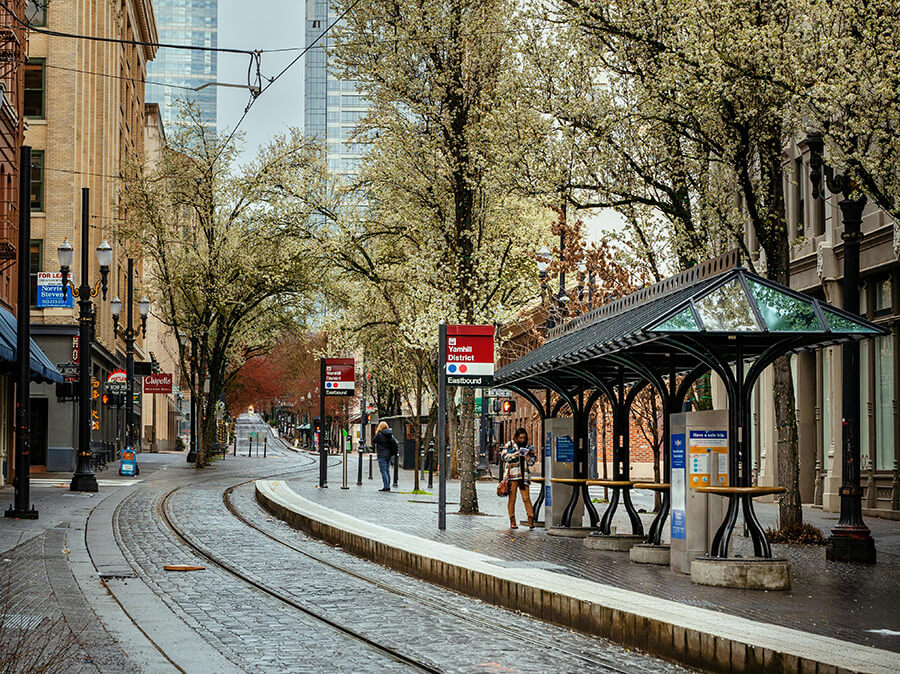 person waits for MAX train at Yanhill District stop in Portland, flowering trees and buildings in the backdrop